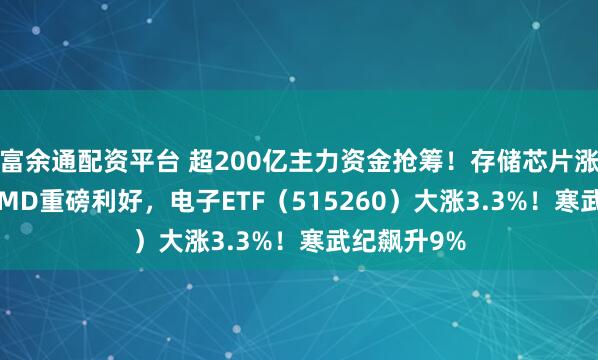 富余通配资平台 超200亿主力资金抢筹！存储芯片涨价五成+ AMD重磅利好，电子ETF（515260）大涨3.3%！寒武纪飙升9%